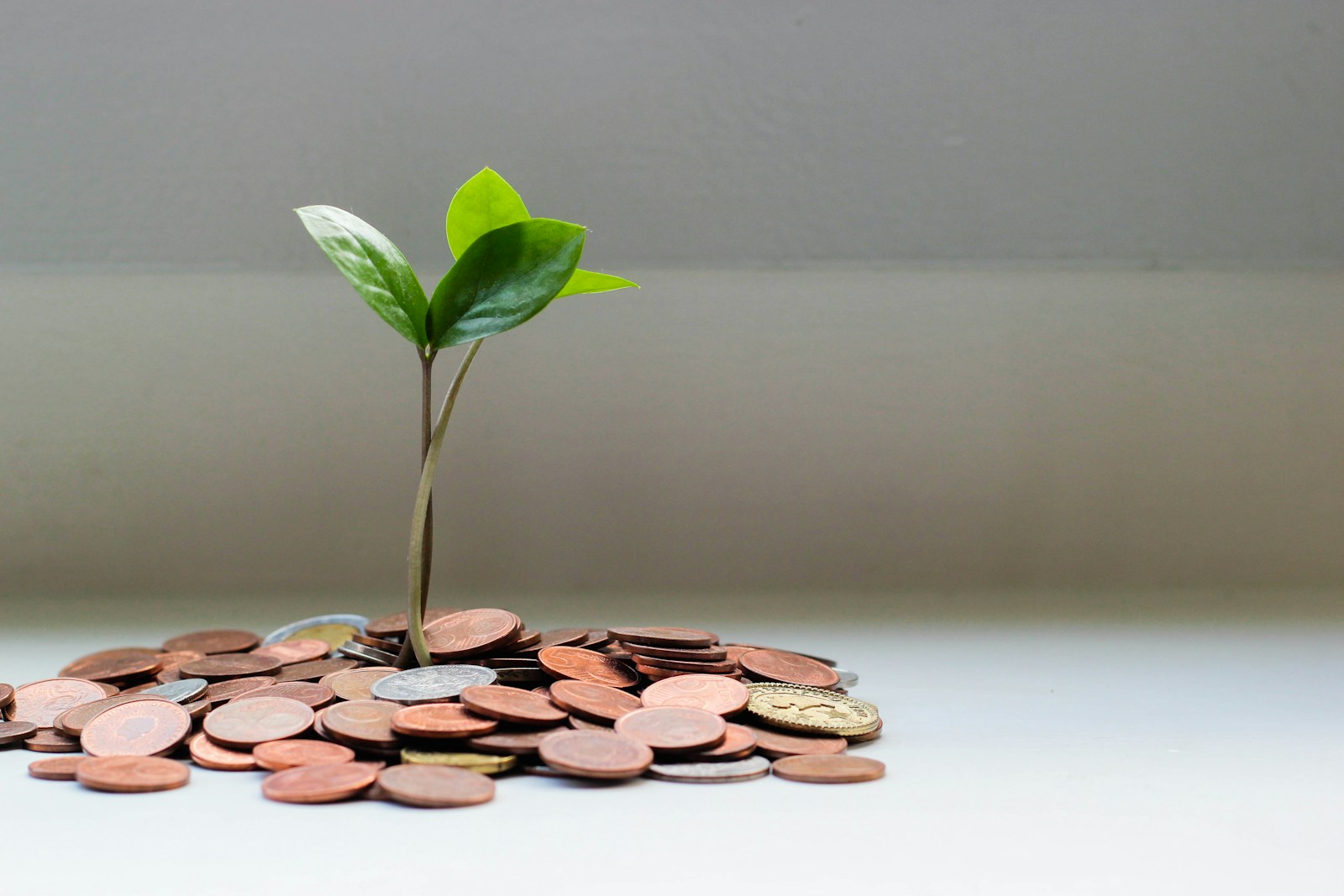 reajuste pension alimenticia en chile